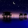 under_the_starry_sky