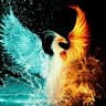 D'Phoenix©