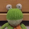 frog go show
