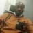 Ugochukwu Michael Chidiebere